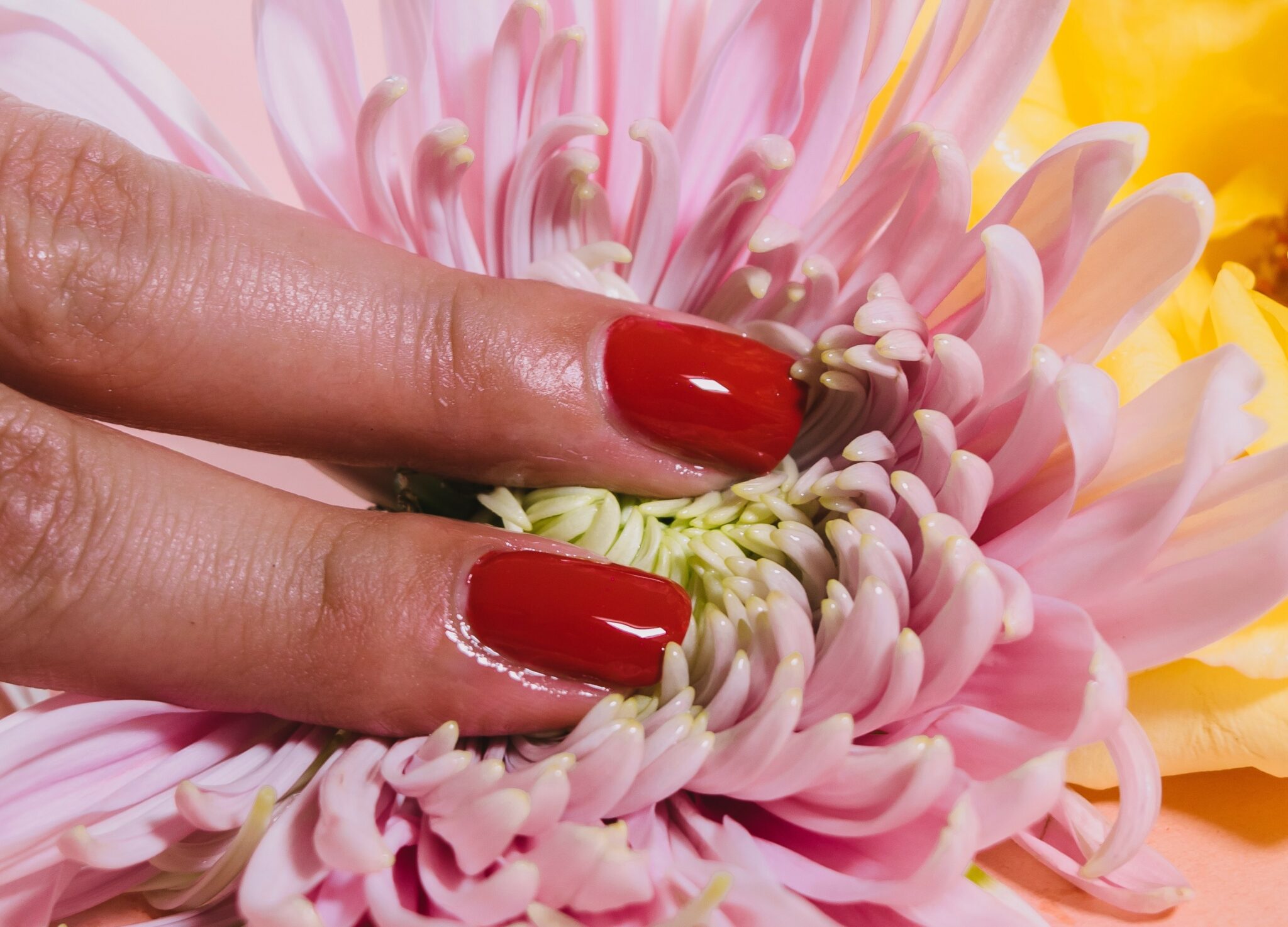 A woman's red-tipped fingers massaging the center of a flower.