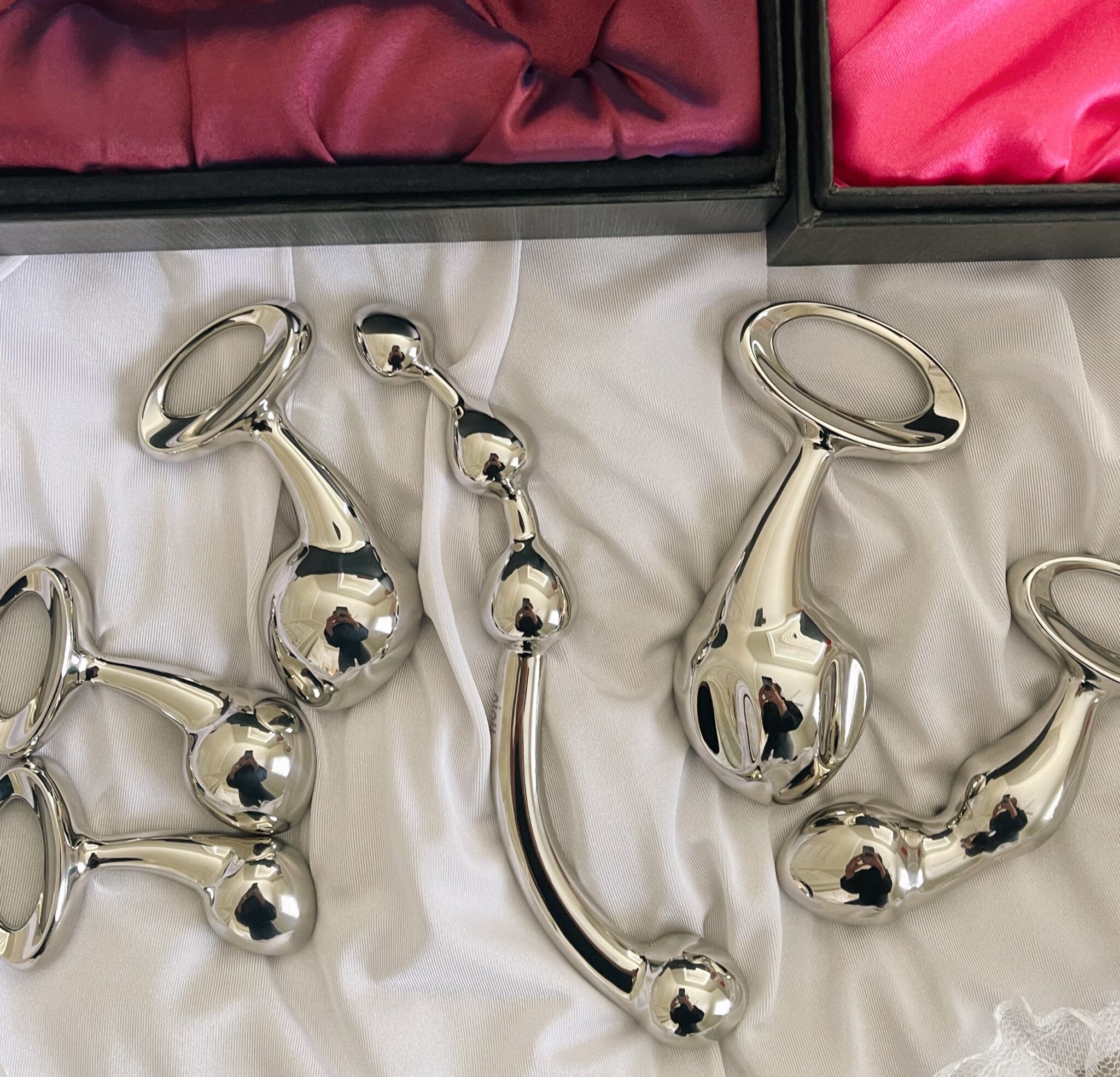 A variety of Njoy stainless steal toys and butt plugs.