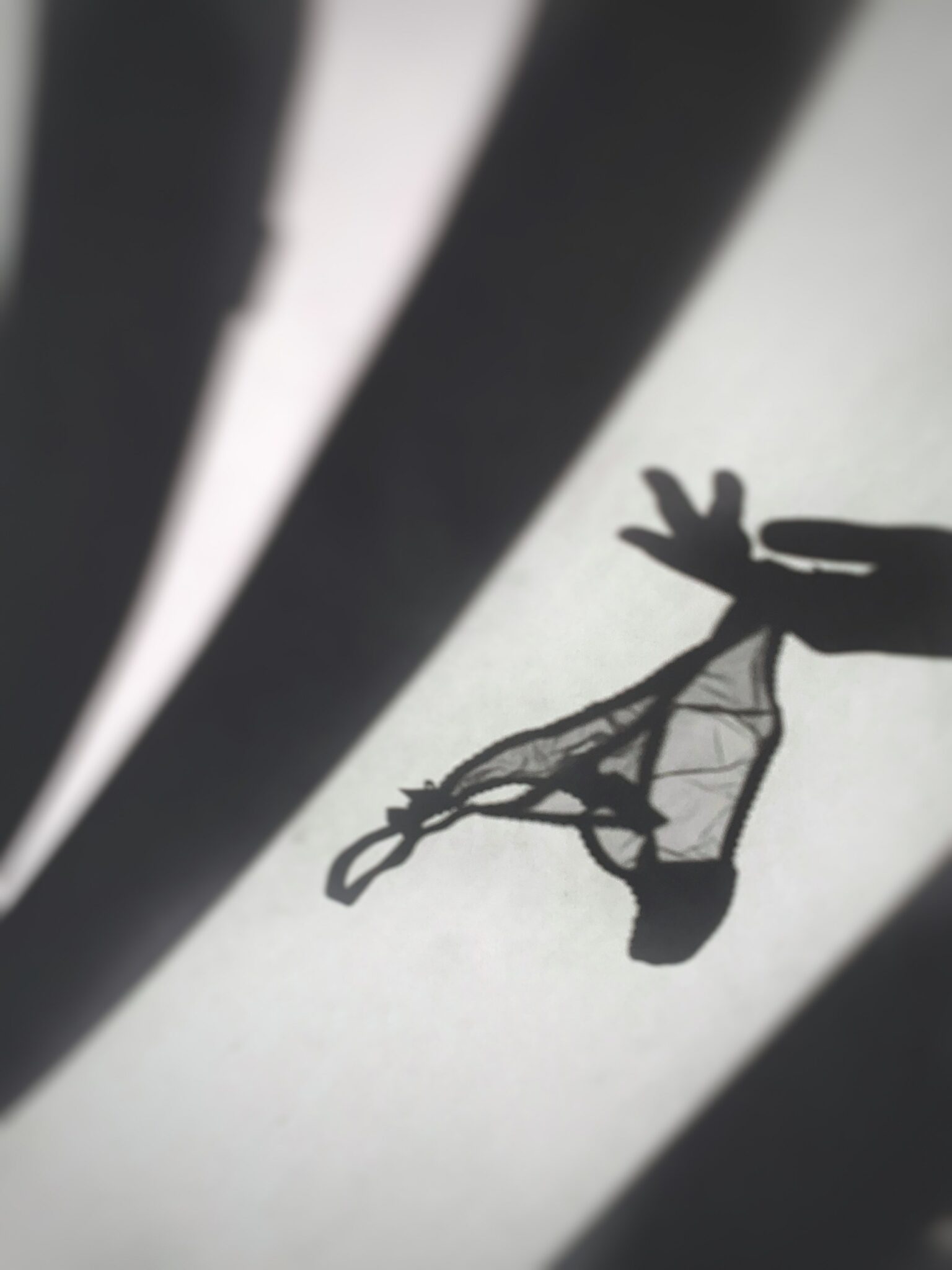 A shadow of a woman holding out lace panties.