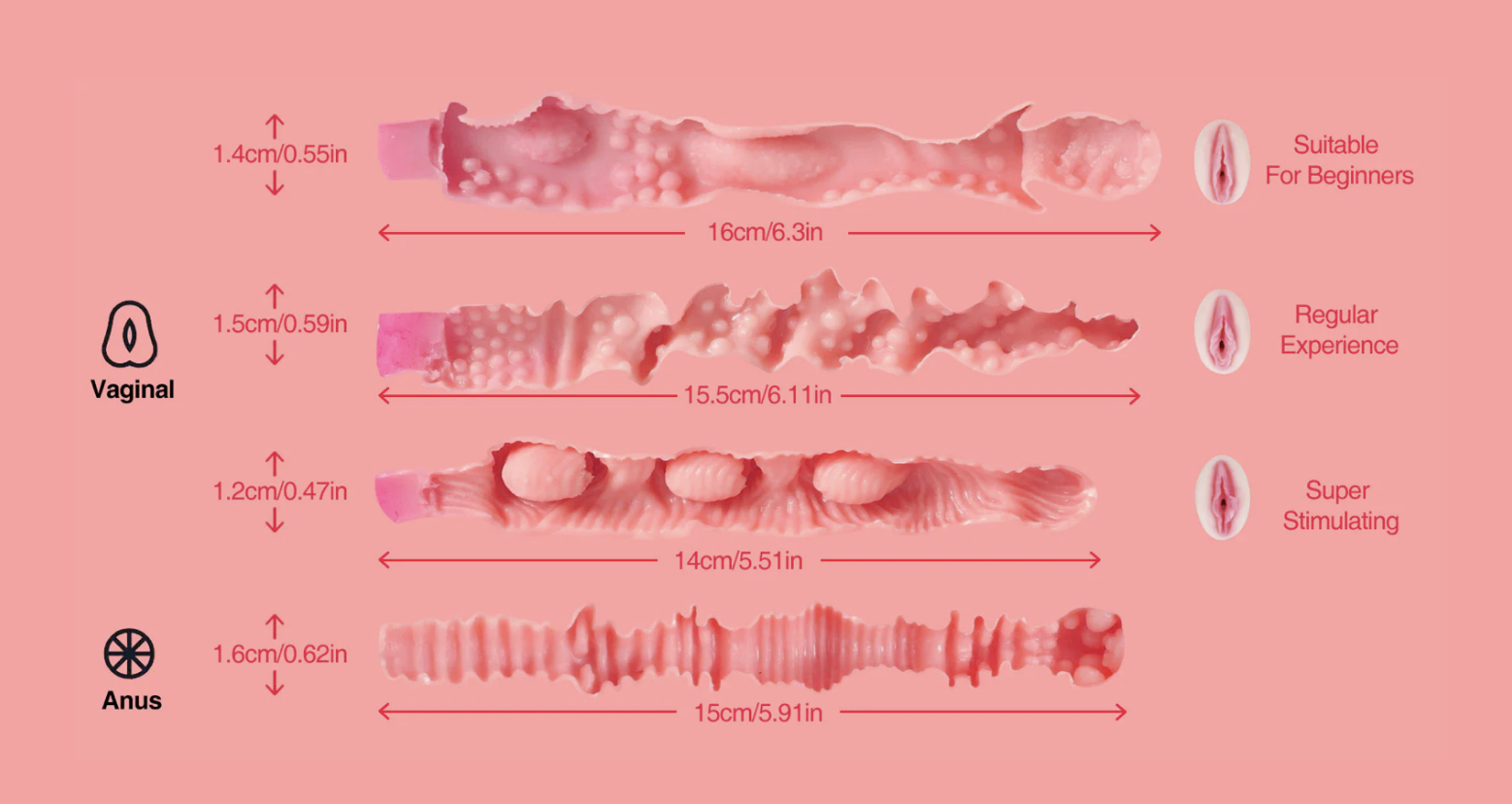 A graphic showing the different vaginal inserts and how they look on the inside with various textures.
